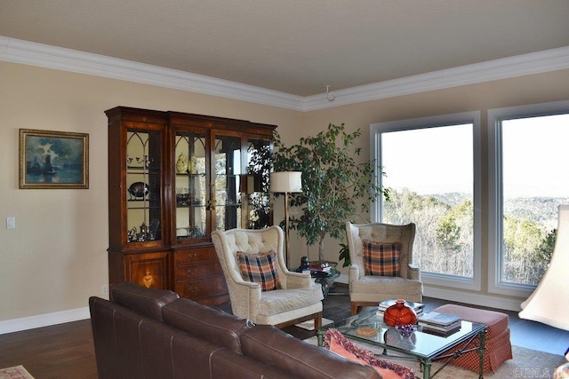 living room featuring baseboards, wood finished floors, and ornamental molding