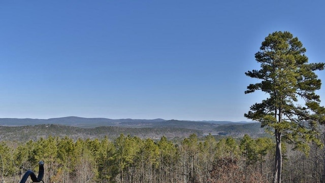 view of mountain feature featuring a forest view