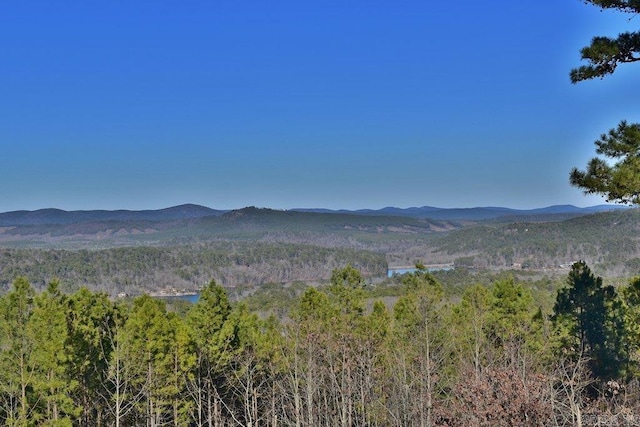 property view of mountains featuring a forest view