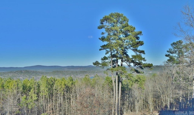 mountain view with a forest view