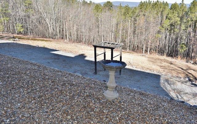 view of community featuring a forest view