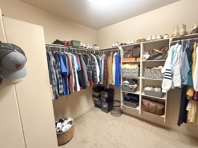 walk in closet with carpet floors