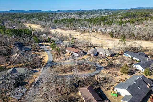 drone / aerial view featuring a mountain view