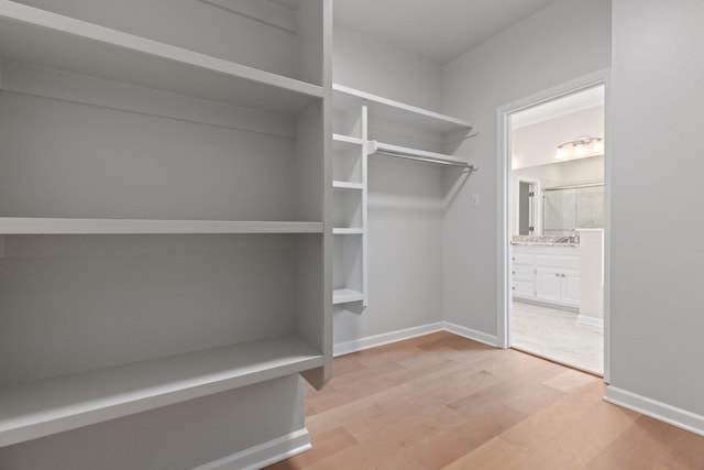 walk in closet with hardwood / wood-style flooring