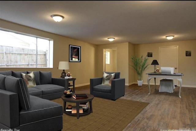 living room featuring wood-type flooring