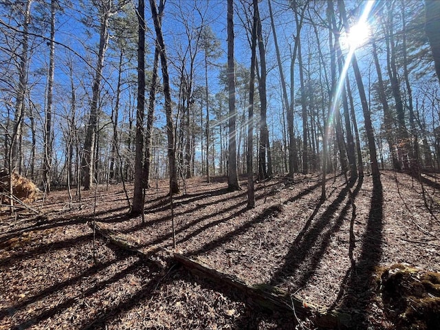 LOT7BLOCK4 Vestonero, Hot Springs Village AR, 71909 land for sale