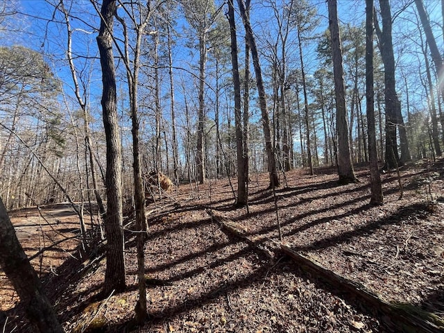 Listing photo 2 for LOT7BLOCK4 Vestonero, Hot Springs Village AR 71909