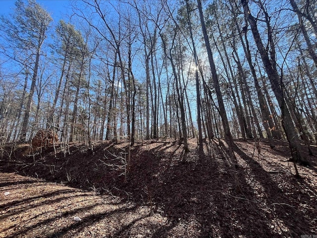 Listing photo 3 for LOT7BLOCK4 Vestonero, Hot Springs Village AR 71909