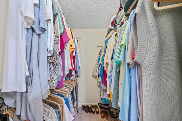 spacious closet with carpet floors