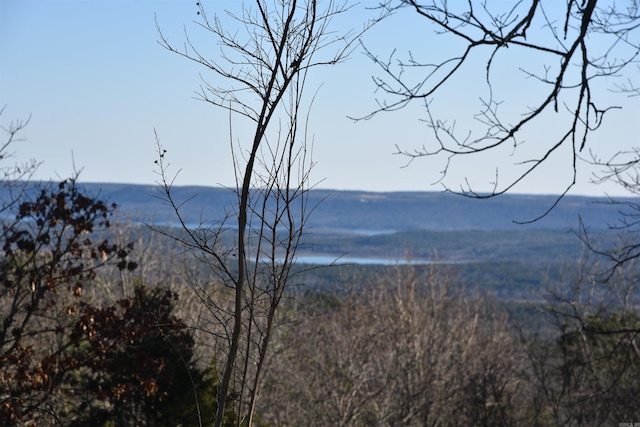 view of mountain feature