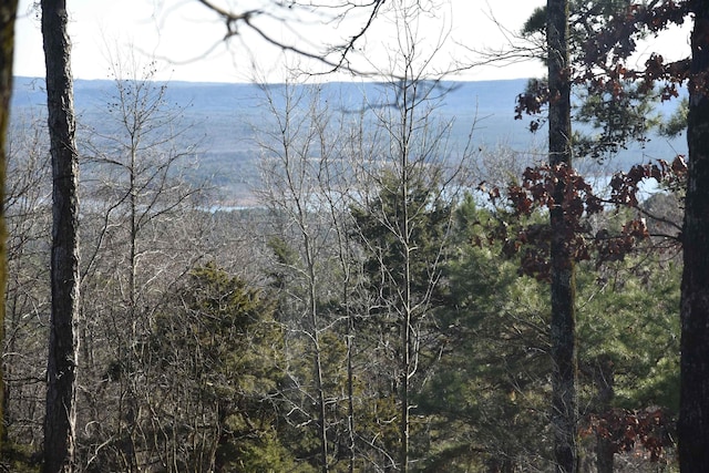 view of local wilderness with a water view