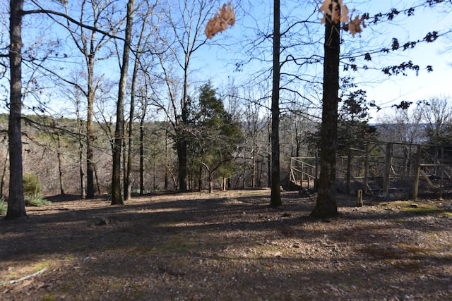 view of local wilderness