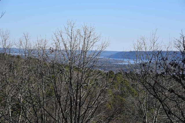 view of mountain feature