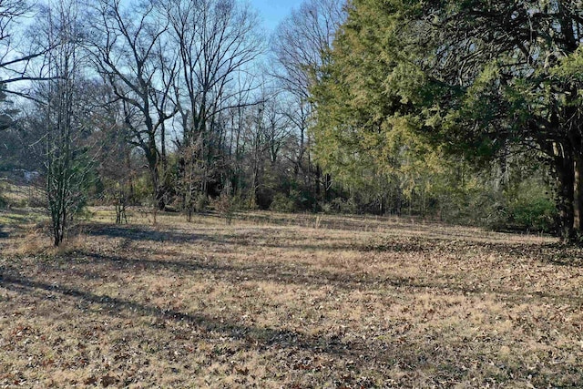 view of local wilderness