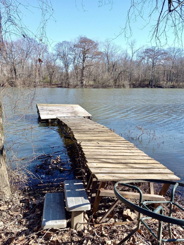 dock area featuring a water view