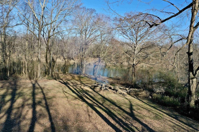 view of yard featuring a water view