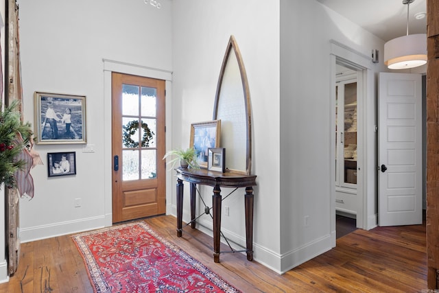 foyer entrance with wood-type flooring