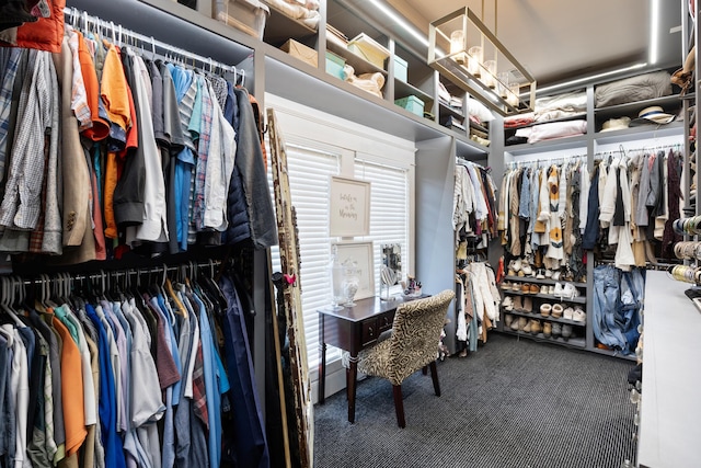 spacious closet with carpet flooring