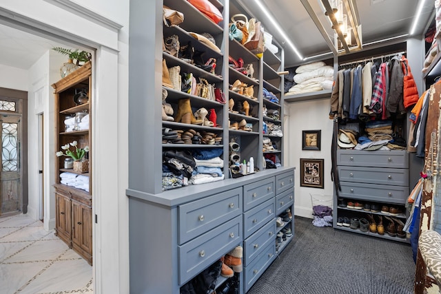 spacious closet with carpet