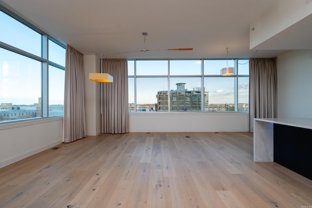 empty room with a healthy amount of sunlight and light hardwood / wood-style floors