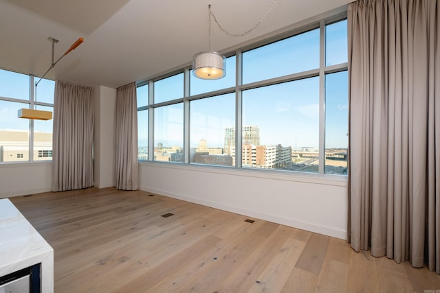 spare room featuring a healthy amount of sunlight and light hardwood / wood-style flooring