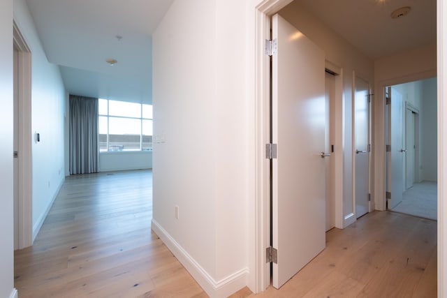 hall with light hardwood / wood-style flooring