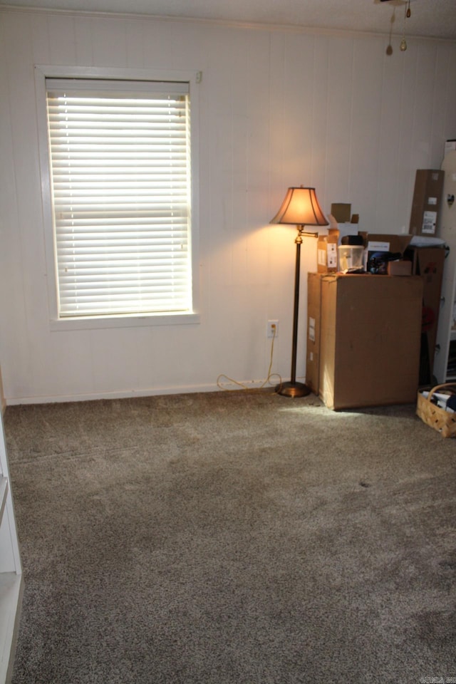 carpeted spare room featuring wooden walls