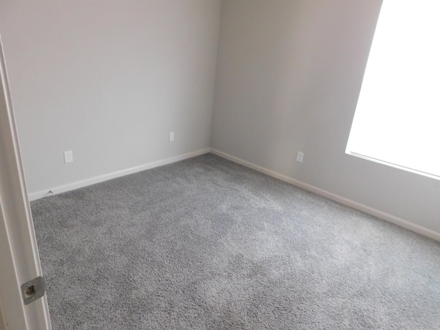 empty room with carpet flooring