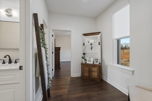 hall featuring sink and dark wood-type flooring