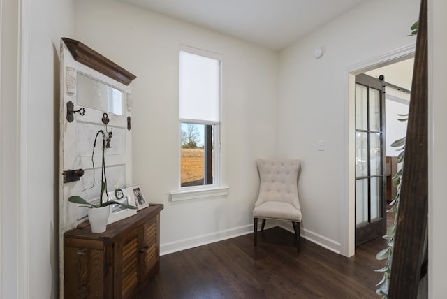 living area featuring dark wood-type flooring