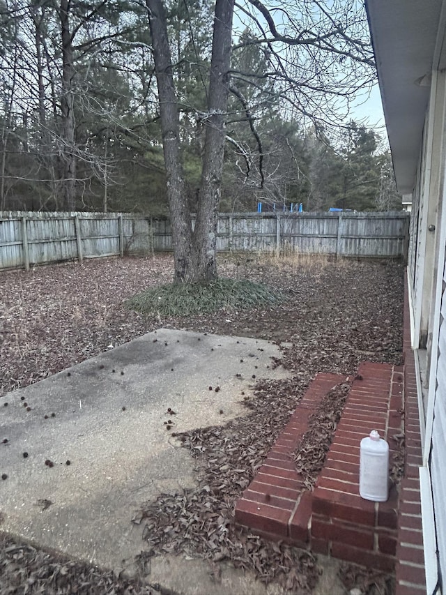 view of yard featuring a patio area