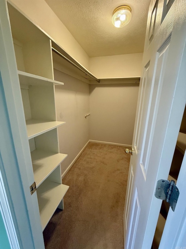 walk in closet featuring carpet floors