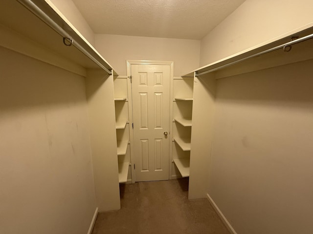 view of walk in closet