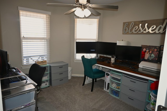 carpeted home office featuring ceiling fan and a wealth of natural light