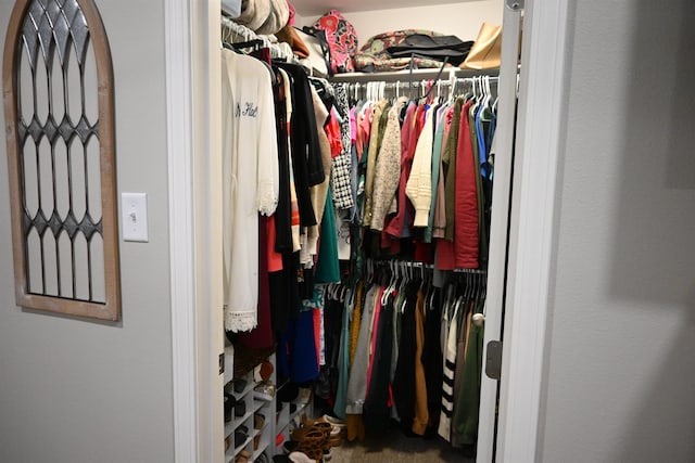 view of spacious closet