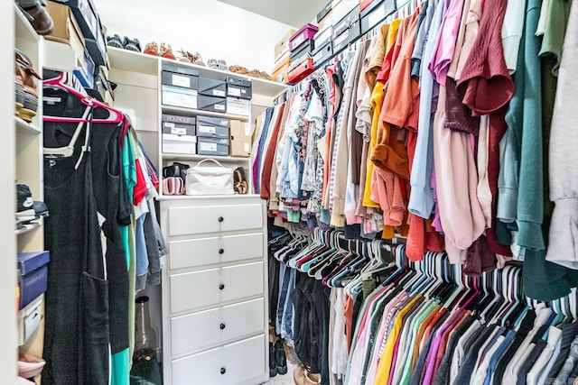 view of walk in closet