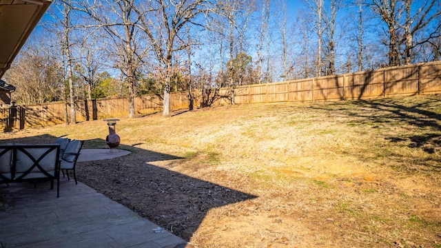 view of yard featuring a patio area