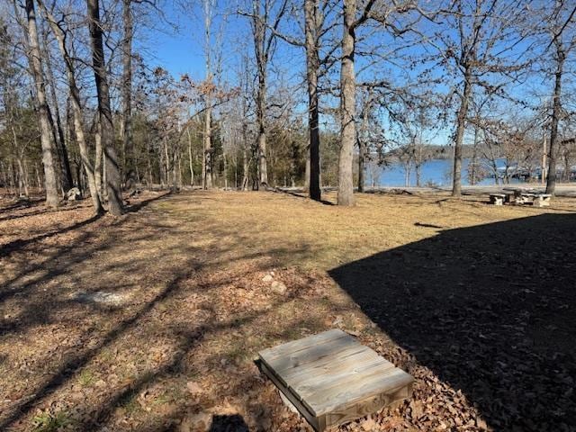 view of yard with a water view