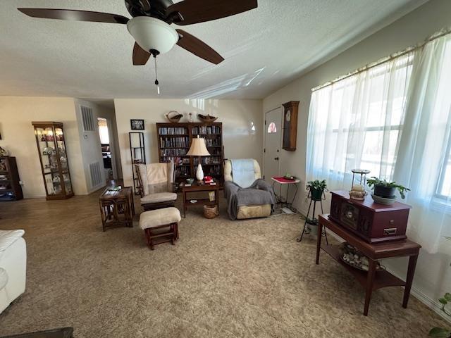 living room with carpet and a textured ceiling