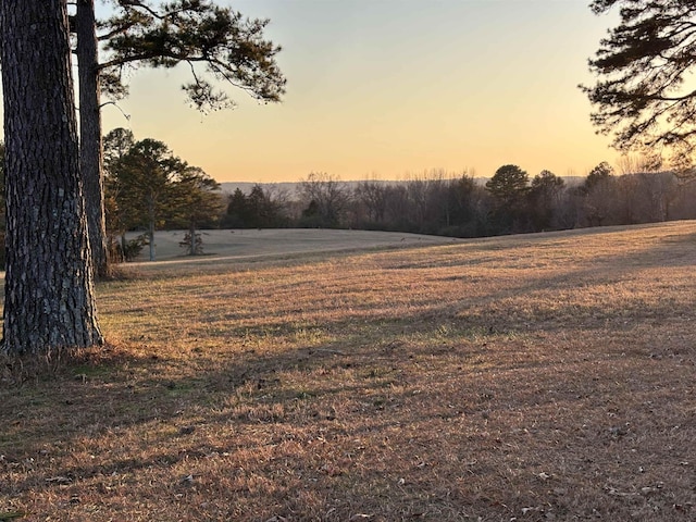 view of yard at dusk