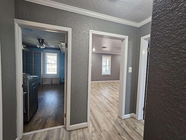 hallway featuring a wealth of natural light, ornamental molding, a textured ceiling, and light wood-type flooring