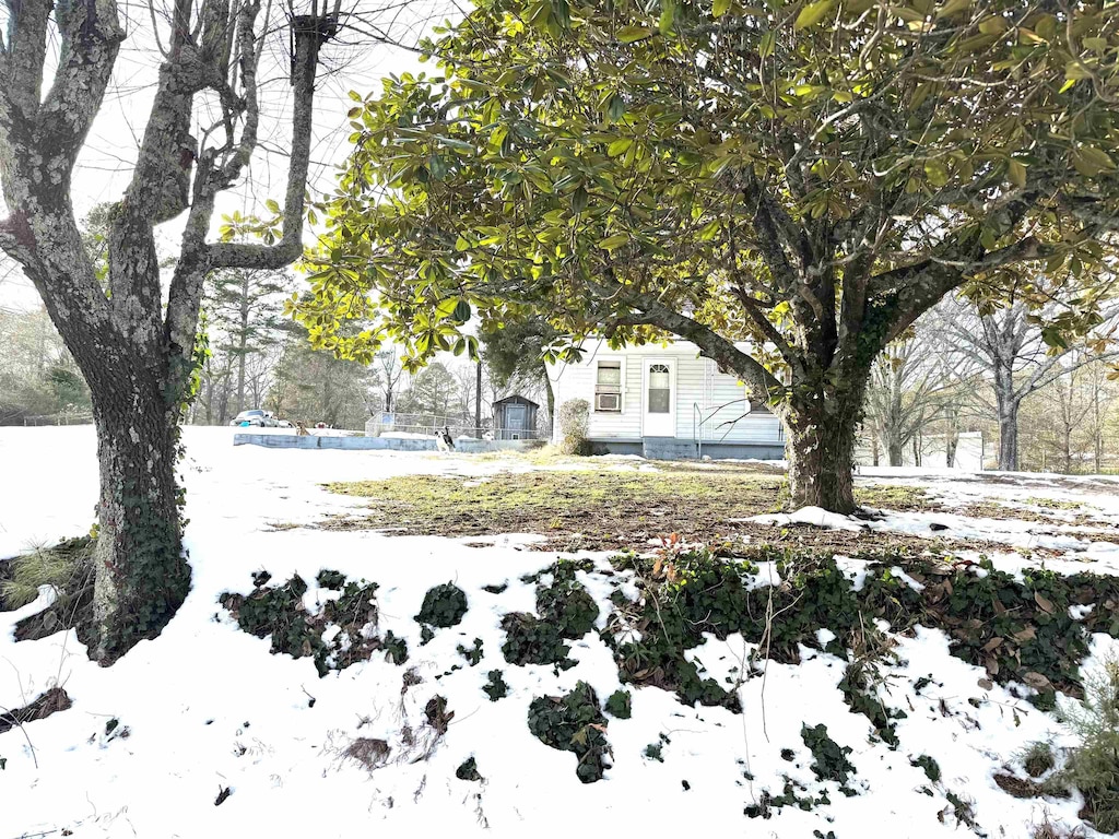 view of yard covered in snow