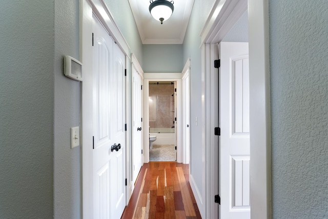 hallway featuring hardwood / wood-style floors and ornamental molding