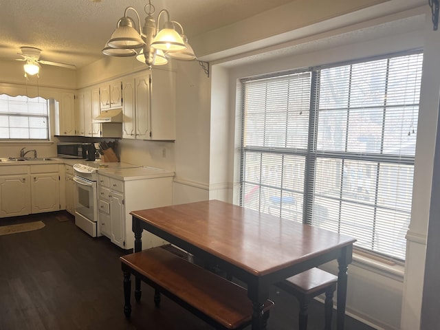 kitchen featuring a wealth of natural light, sink, and electric range