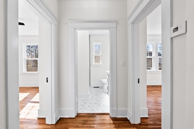 corridor with hardwood / wood-style floors and a healthy amount of sunlight