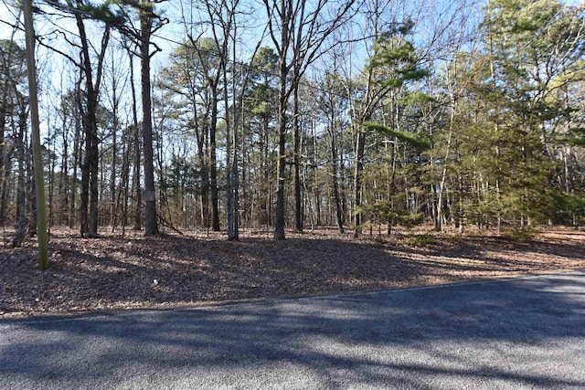 Listing photo 3 for LOT30BLOCK12 Haverhill Rd, Fairfield Bay AR 72088