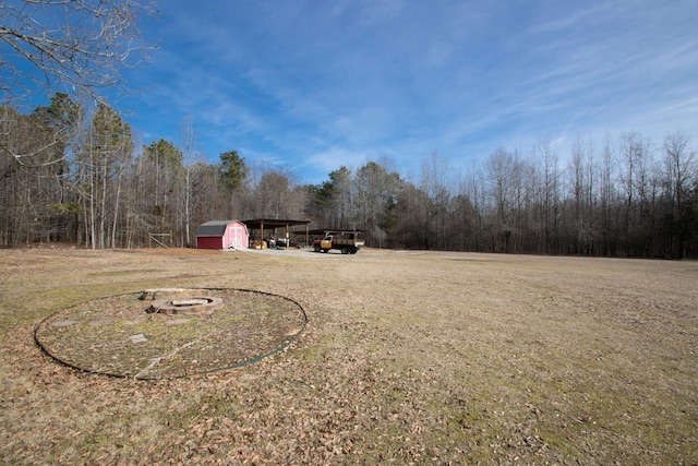 view of yard with a carport and a storage unit