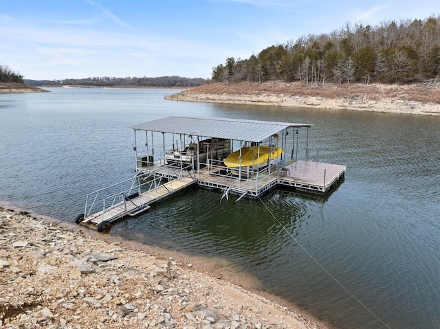 dock area with a water view