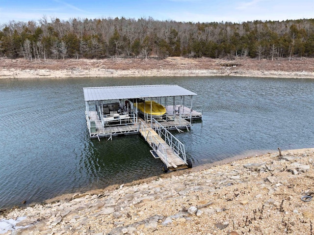 dock area with a water view