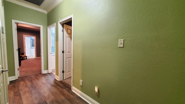 hall featuring crown molding and dark wood-type flooring